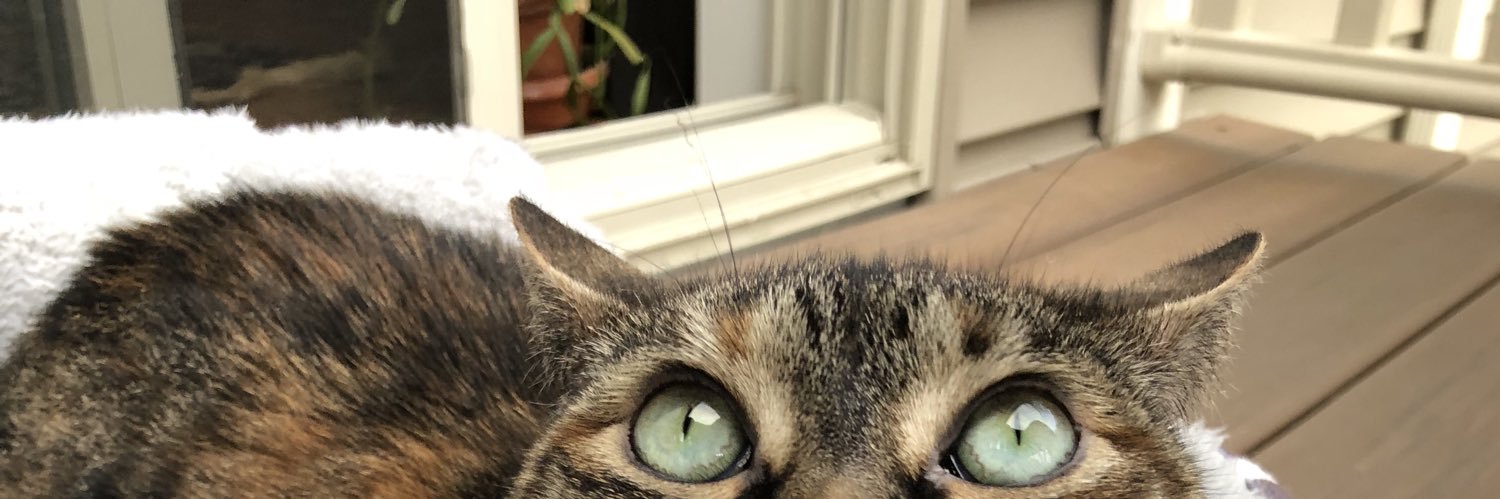 sydneyeberle_'s profile banner image