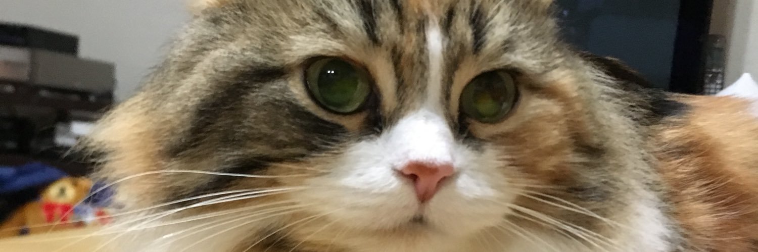mtbeauty2's profile banner image