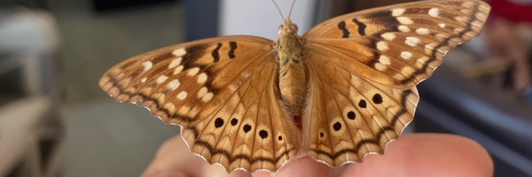 lylydt Profile Banner