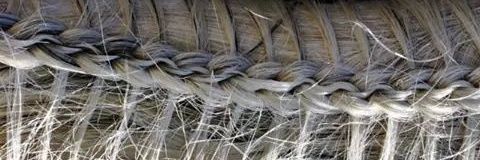 potrapinta's profile banner image