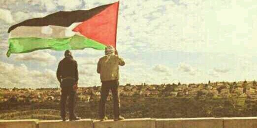 mashoed's profile banner image