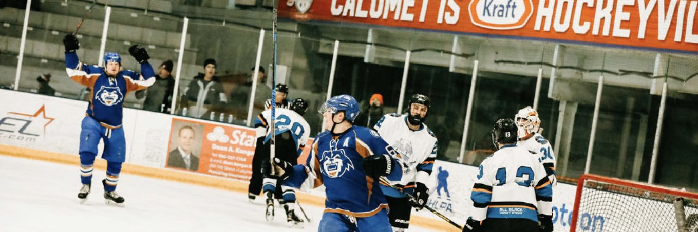 Calumet Wolverines banner
