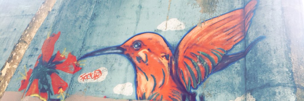Reeseooh's profile banner image