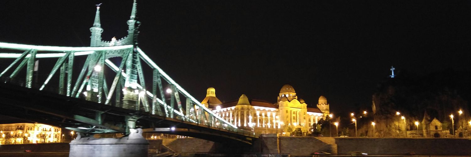 APetrarulo's profile banner image