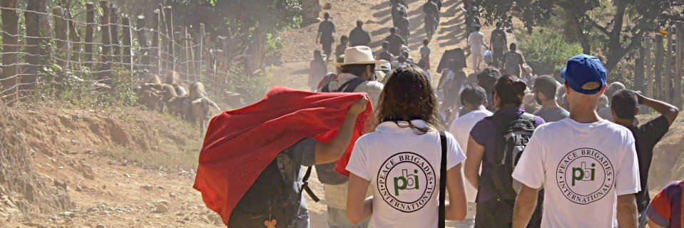 Pbinorge's profile banner image