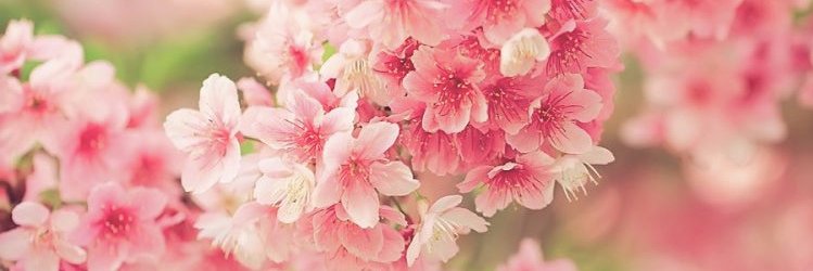 MartaPeraita9's profile banner image