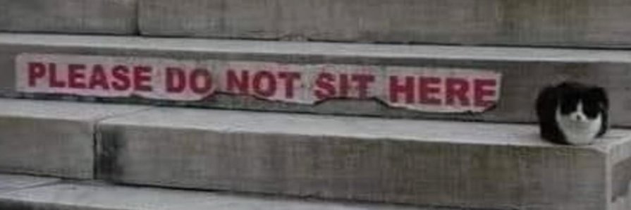 Riot Shalkar 𓆏 banner