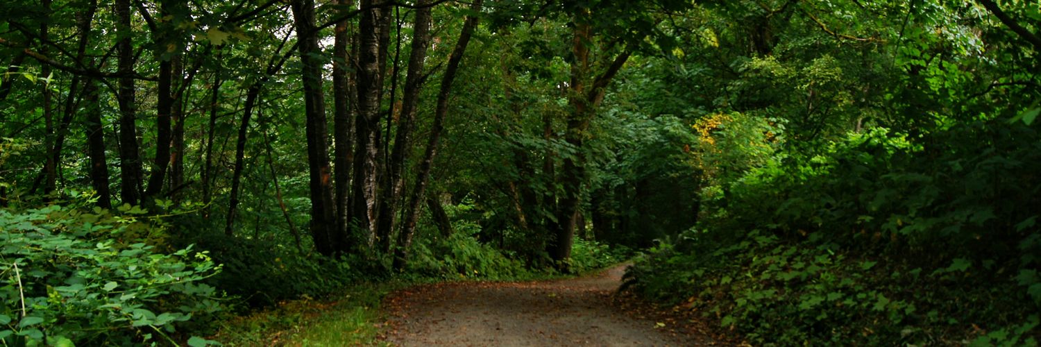 Richard Dashut banner