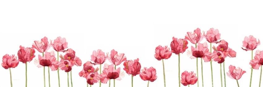 Emily Christophersen banner