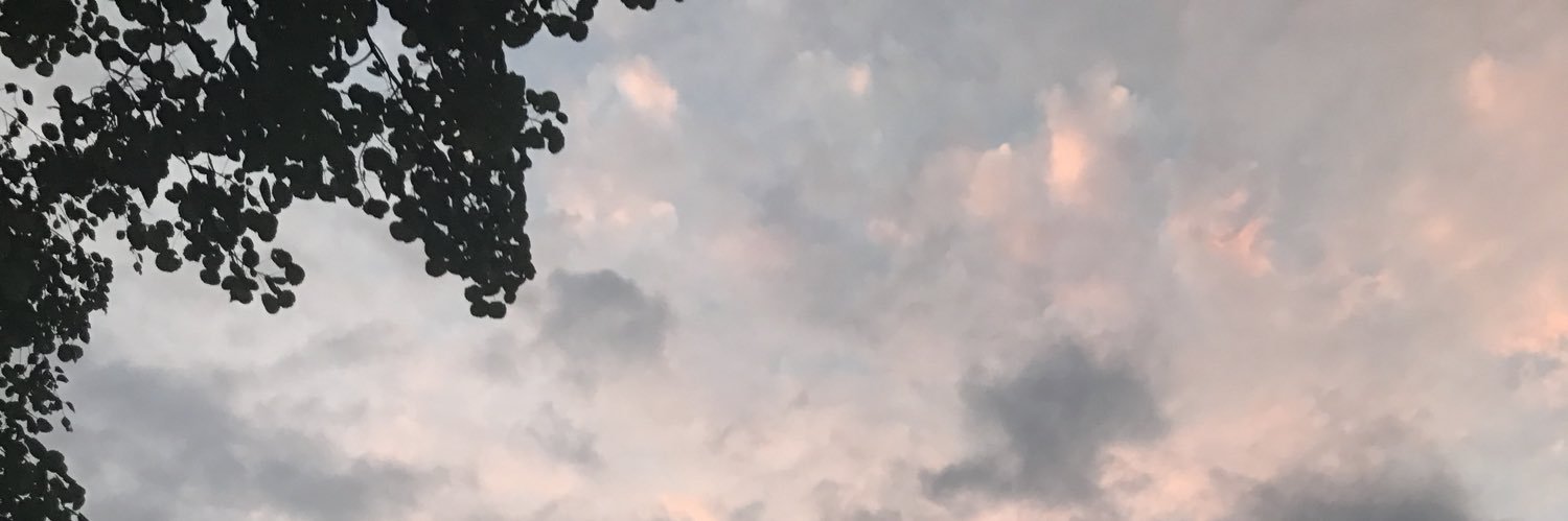 perkeles's profile banner image