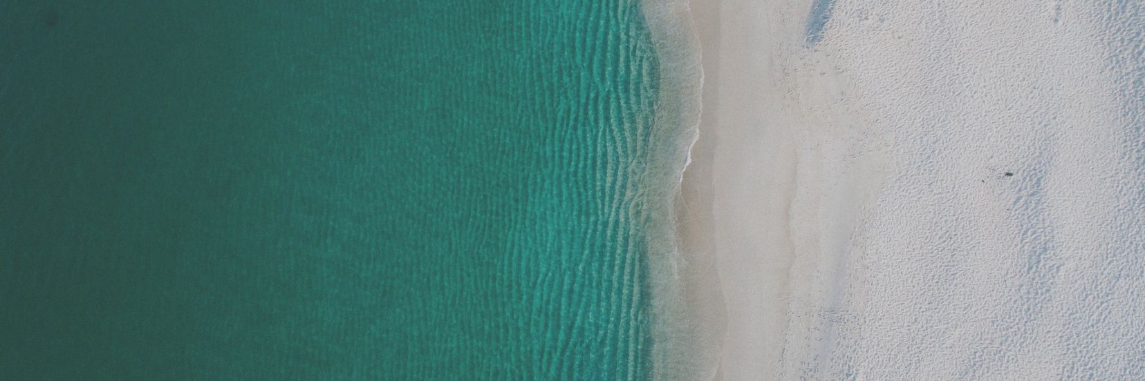 TamiDestefano's profile banner image