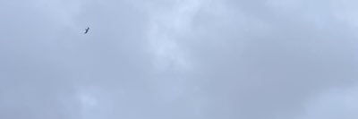 سعود مهدي banner