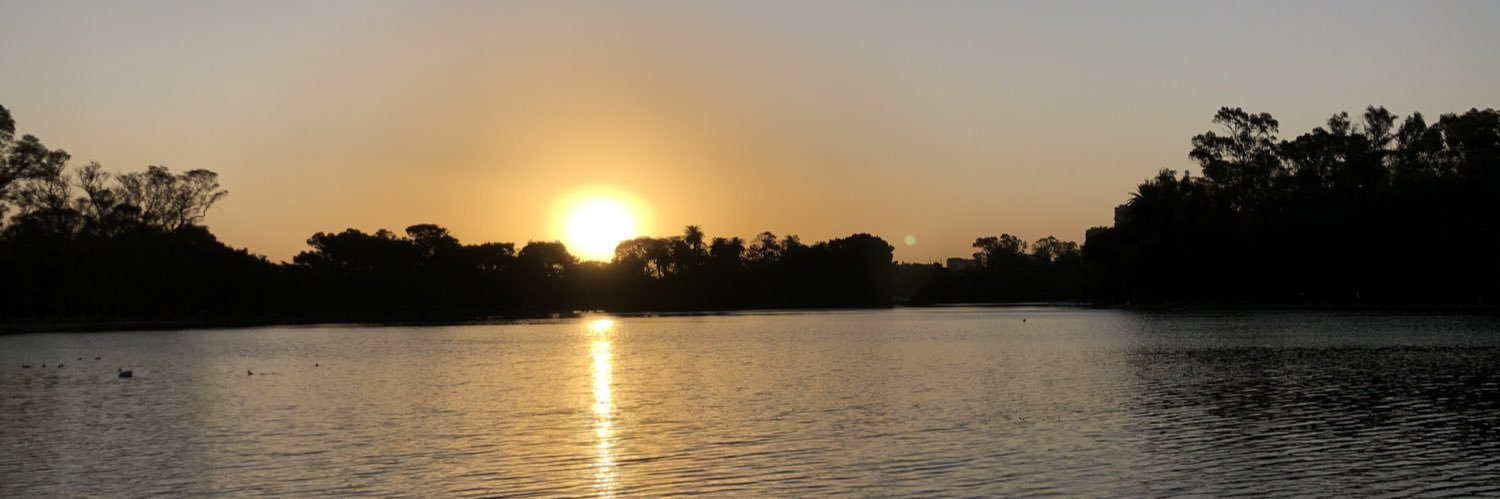 vavillaamil's profile banner image