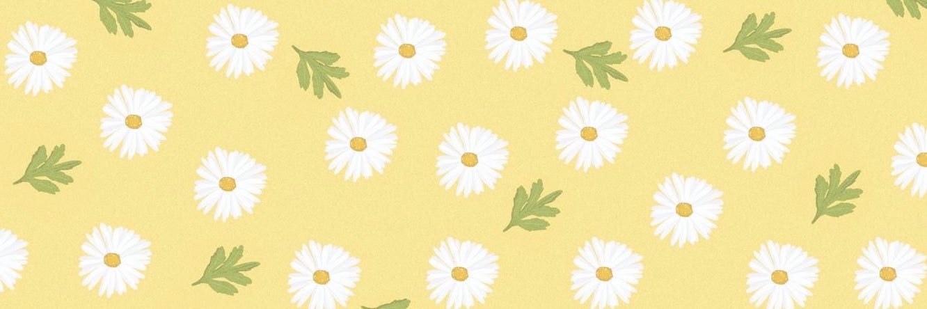 hanna_toth's profile banner image