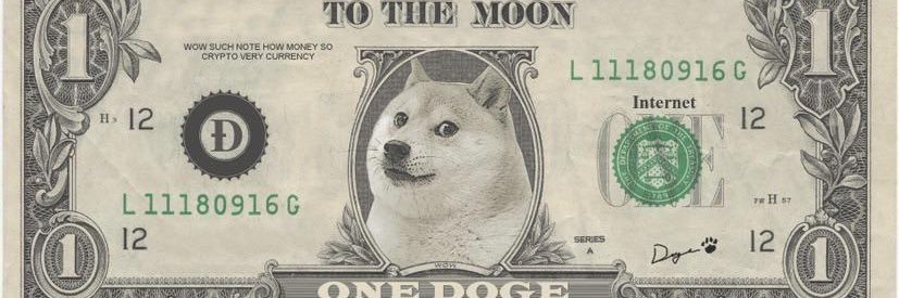 metadoge's profile banner image