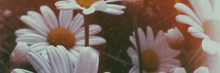 jess_spryb's profile banner image