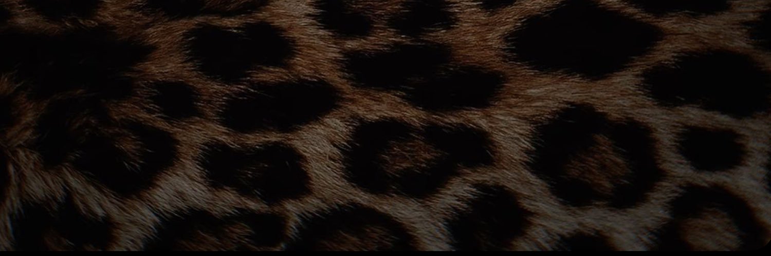 dessrosaa's profile banner image