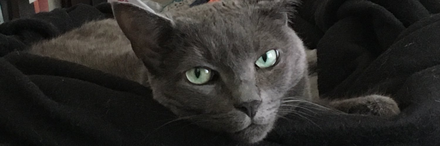 JillianAudrey's profile banner image