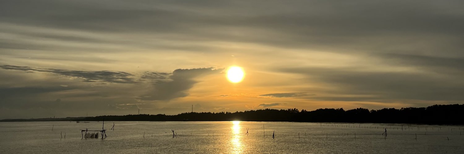 npytalp's profile banner image