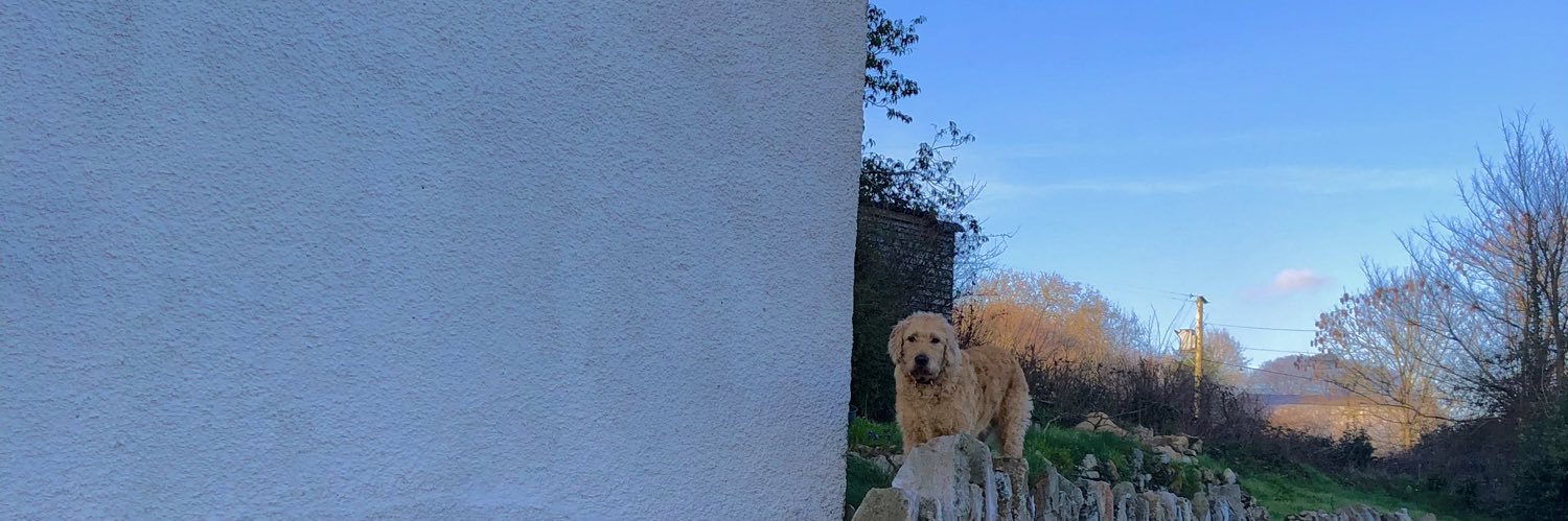 charlottemoo2's profile banner image