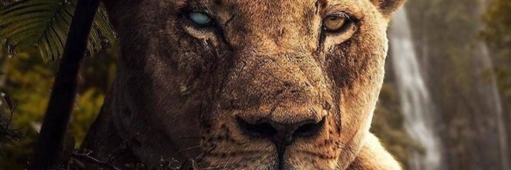 Raesilient_'s profile banner image