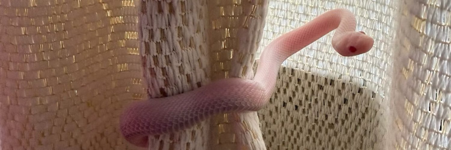 yfonavew's profile banner image