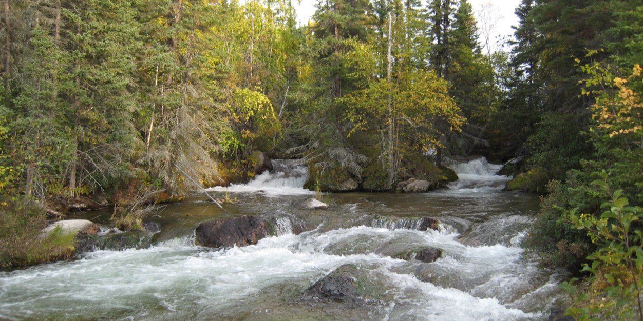 Bryan Morrison banner