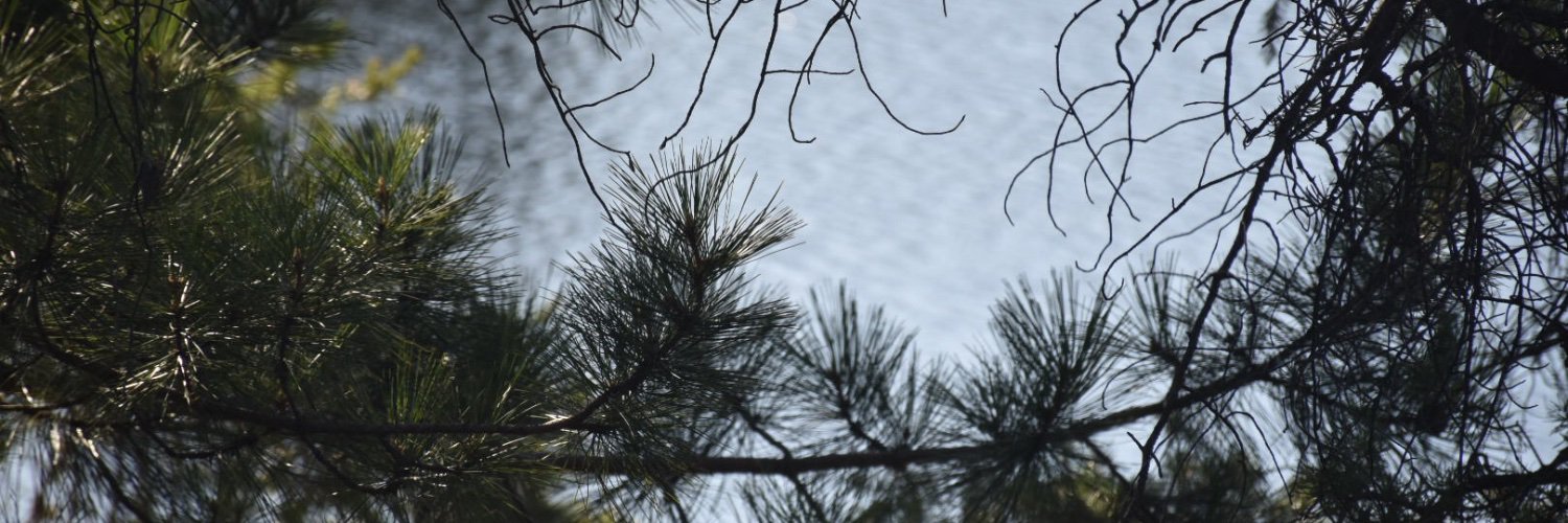 Heather Geverding banner