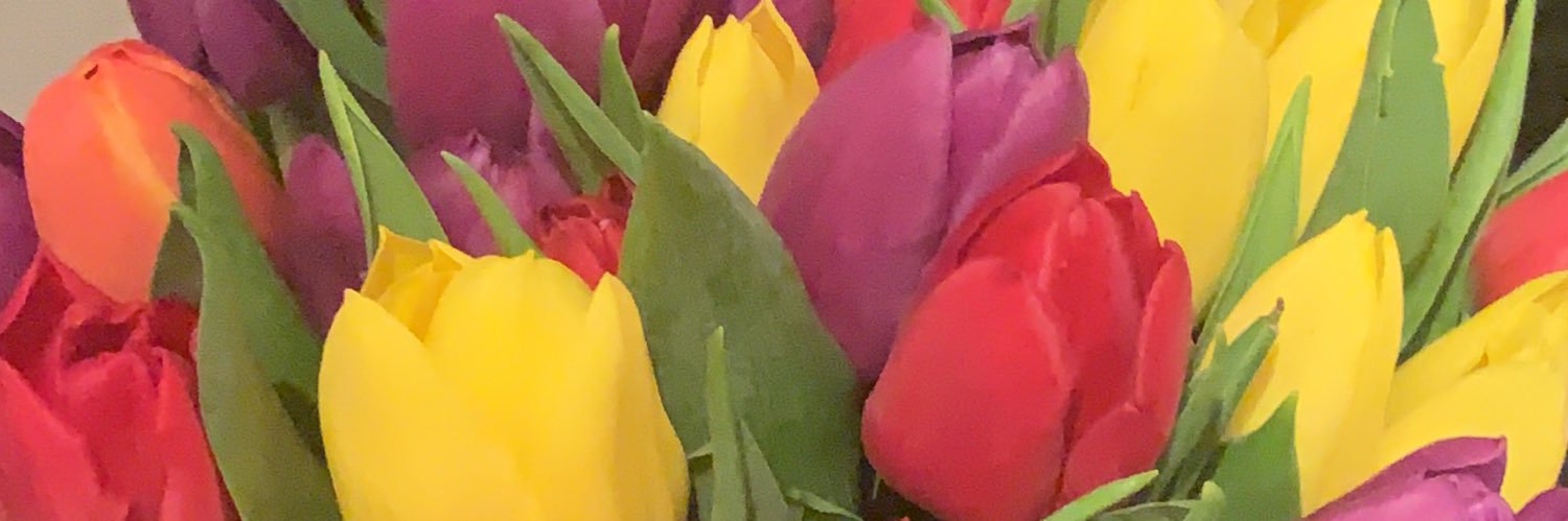MaisieHopper's profile banner image