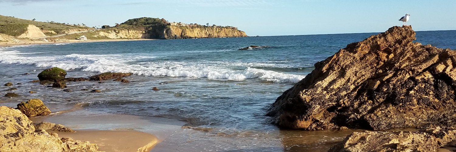 TheMooreNicole's profile banner image
