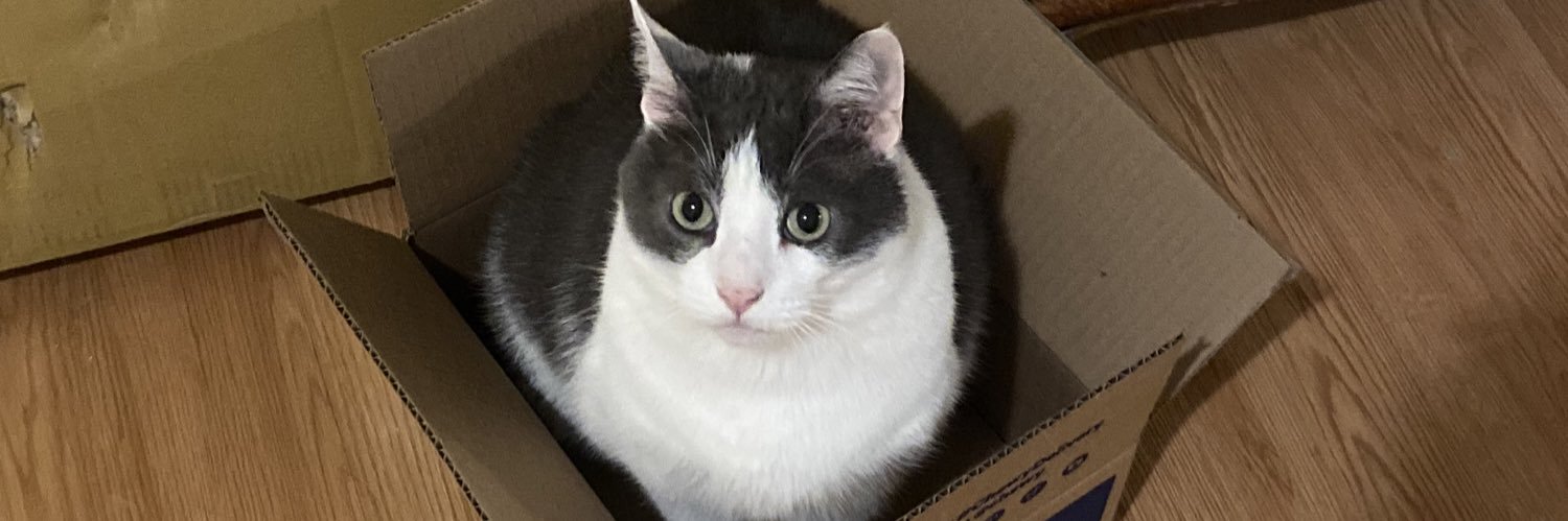 lightweightlee's profile banner image