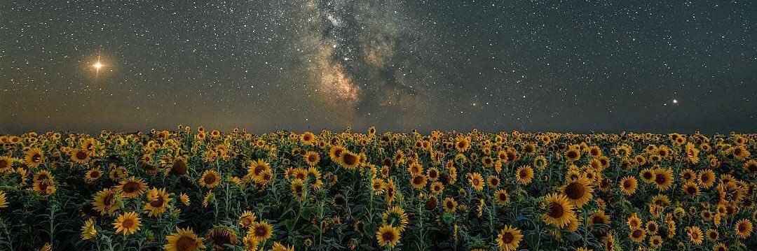 beccashaw__'s profile banner image
