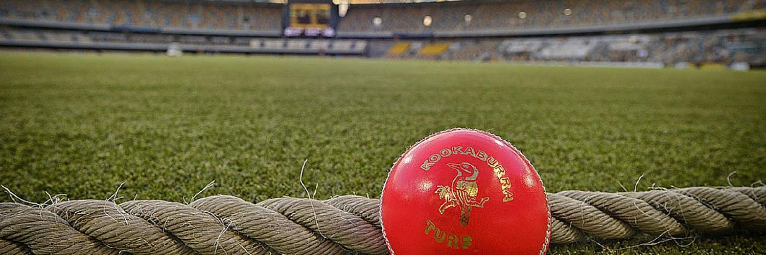 PinkCricketBall banner