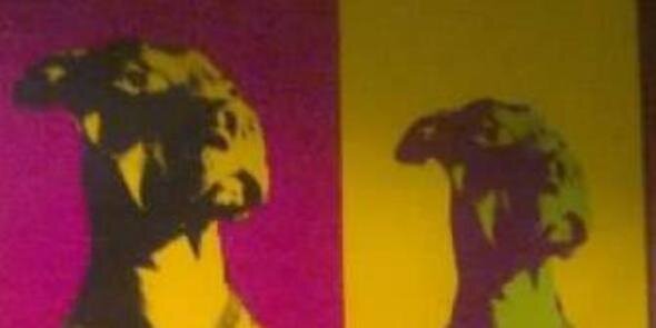 Dmarase's profile banner image