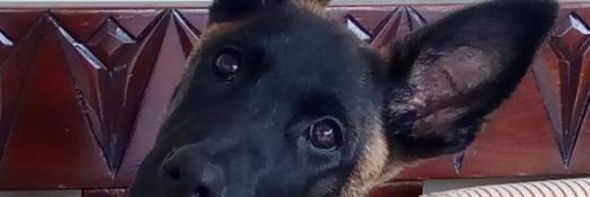igungor06's profile banner image