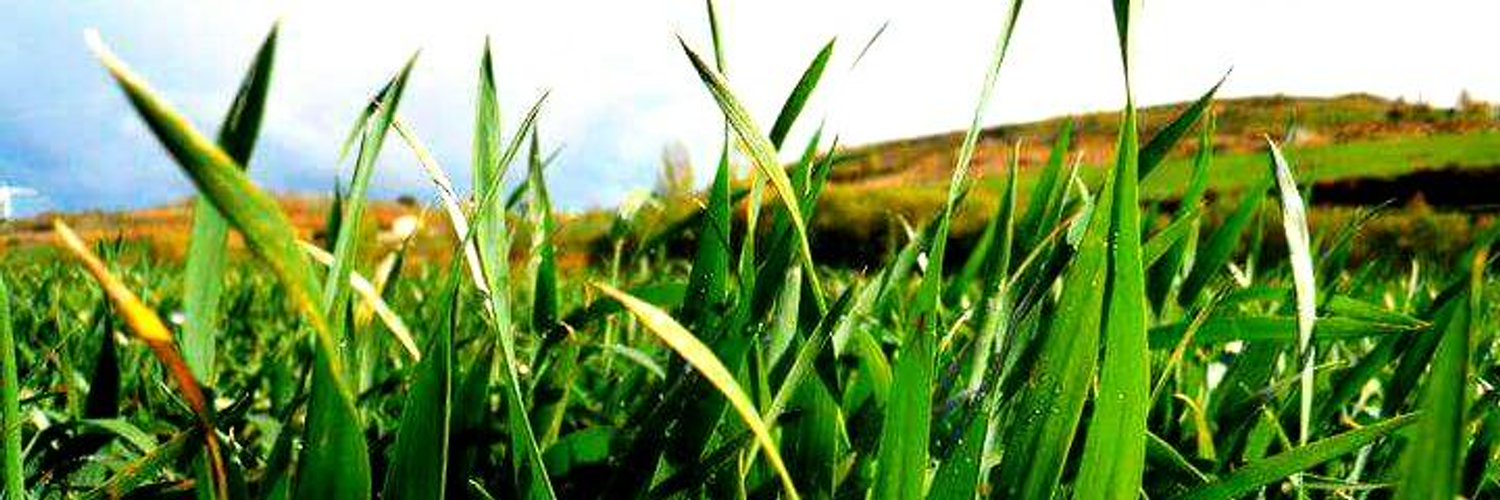 Josucho__'s profile banner image