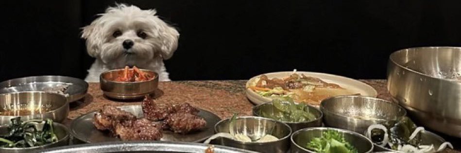 taytaytots's profile banner image