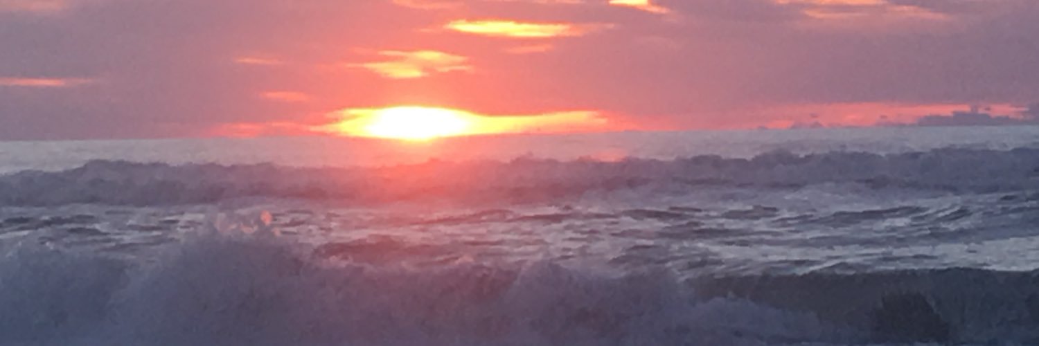 rachelmaines's profile banner image