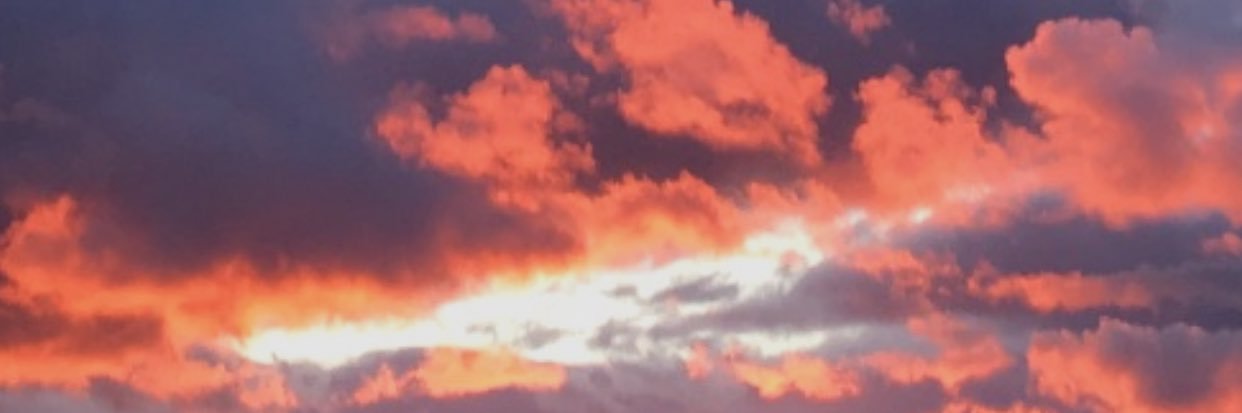 ElleeCrouse29's profile banner image