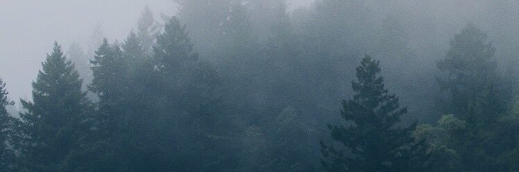 _N00rr's profile banner image