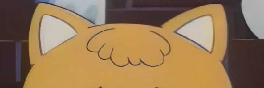 nicowowo's profile banner image
