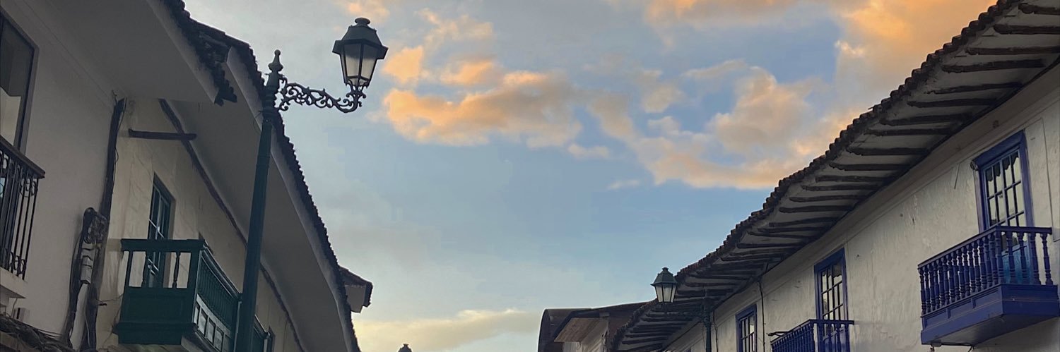 Nelc31's profile banner image