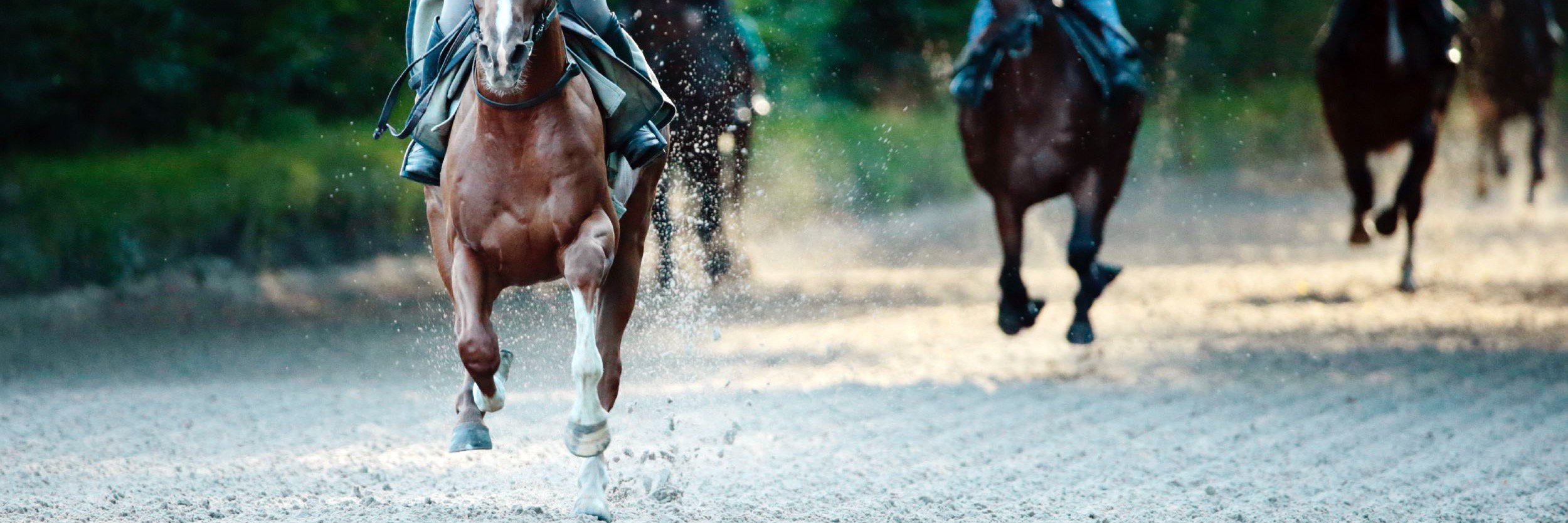 Maisons-Laffitte banner