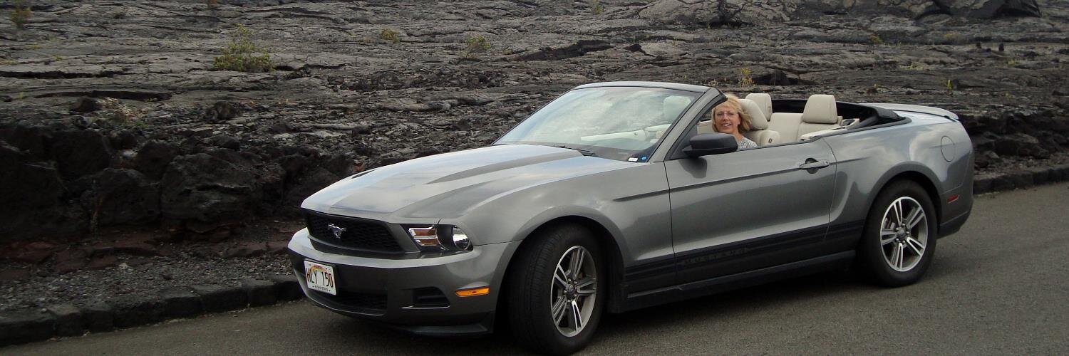 Stan Handzlik banner