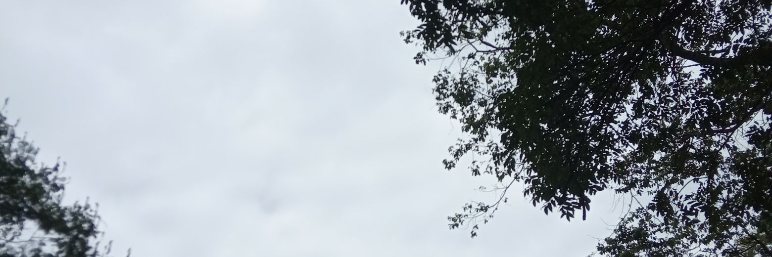 DUndartik's profile banner image