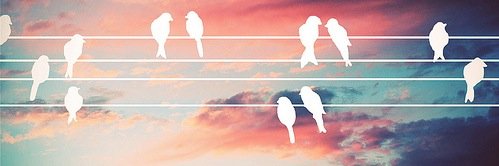 PipePip's profile banner image