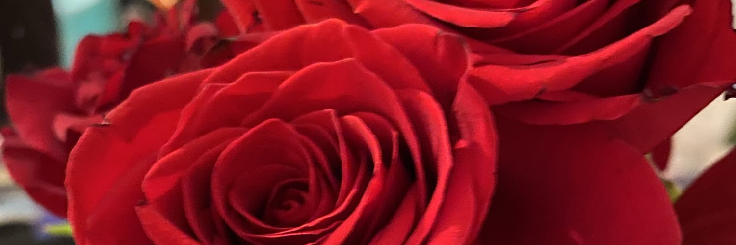 nataliecervant2's profile banner image