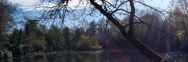 GravesPark1 Profile Banner