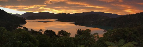 _andy_v Profile Banner