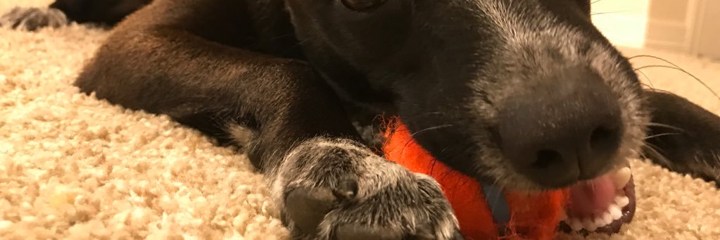 Bobbysims's profile banner image